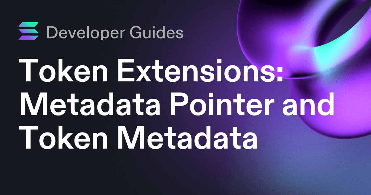 How to use the Metadata Pointer extension